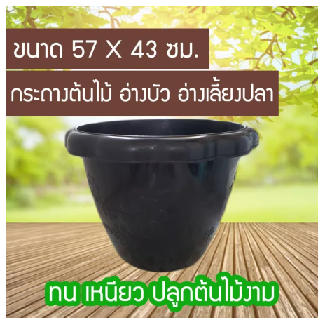 D70-กระถางต้นไม้ กระถางเลี้ยงปลา อ่างบัวลายดอกไม้สวยๆไว้ประดับสวน