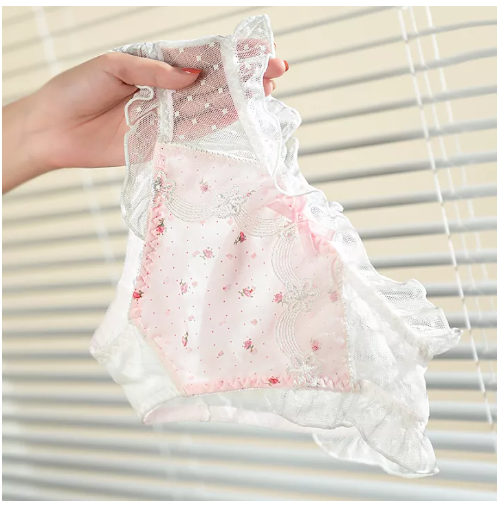 PAN67 กางเกงในผู้หญิงกางเกงในทรงสามเหลี่ยมเอวต่ำลายดอกไม้เล็กๆสไตล์ญี่ปุ่นขอบลูกไม้รุ่นบางผ้าตาข่ายเซ็กซี่ซีทรูสำหรับฤดูร้อน