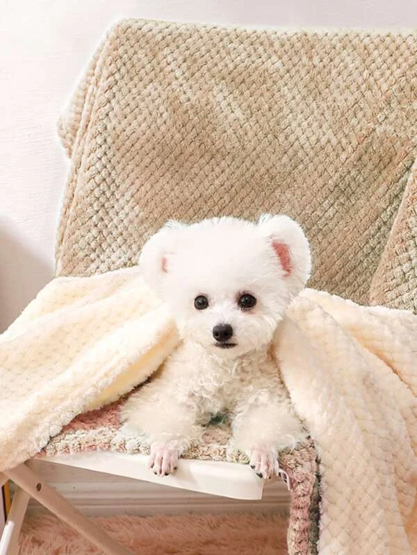 ผ้าห่มและผ้าคลุมสัตว์เลี้ยง เรียบง่าย ม-6