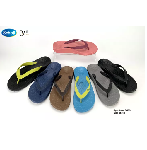 SAN47-Scholl Spectrum 3U-B309