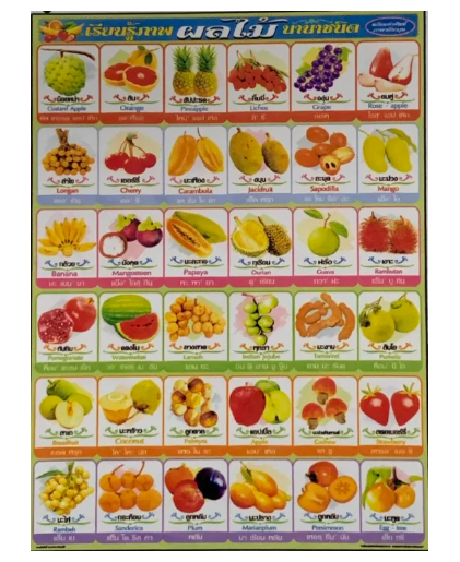 TOY10-โปสเตอร์ความรู้สำหรับเด็ก ผลไม้