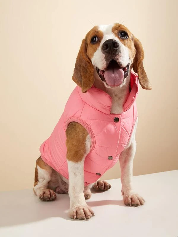 เสื้อสัตว์เลี้ยง มินิมอล ม-38