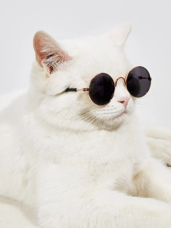 1 อัน แว่นตา สัตว์เลี้ยง เลนส์กลม  ม-030