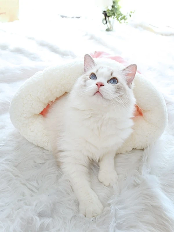 เตียง สัตว์เลี้ยง กราฟฟิค การ์ตูน หมี & ตัวอักษร 1 ชิ้น  j-22