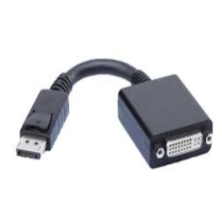B09-Displayport to DVI
