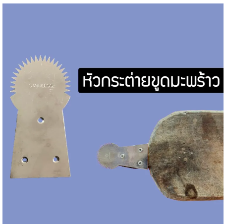 D91-กระต่ายขูดมะพร้าว สเตนเลสแท้ SG25NF5456