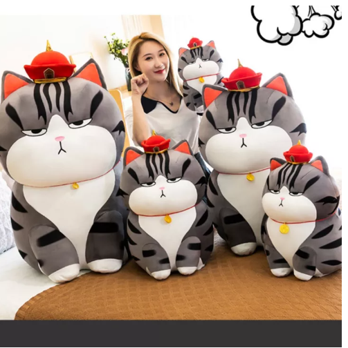 KID80-COD ตุ๊กตาแมวอ้วน กำลังฮิตใน TikTok ตุ๊กตาแมวยักย์หน้ามึน หมอนตุ๊กตาแมว My Royal Wan 30/40/50/70/90cm แมวจักรพรรดิ ตุ๊กตาตัวใหญ่