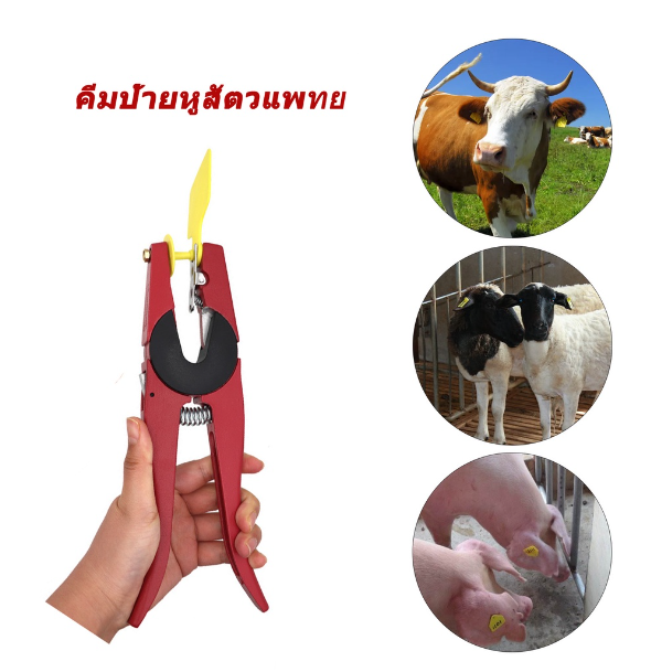 TH116-คีมป้ายหูหมู วัว และแกะ อลูมิเนียมหนา คีมเจาะรูหูสัตว์ คีมป้ายหู อุปกรณ์สัตวแพทย์ คีมป้ายหู 1 ชุด + ป้ายติดหูสัตวแพทย์